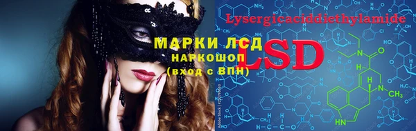 PSILOCYBIN Белокуриха