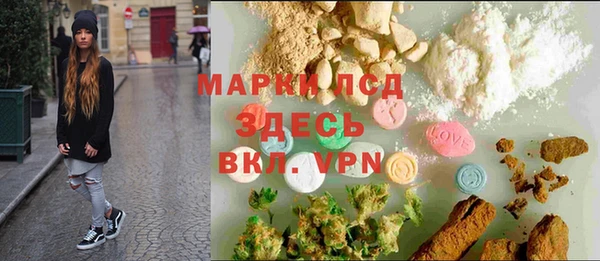 PSILOCYBIN Белокуриха
