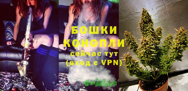 PSILOCYBIN Белокуриха